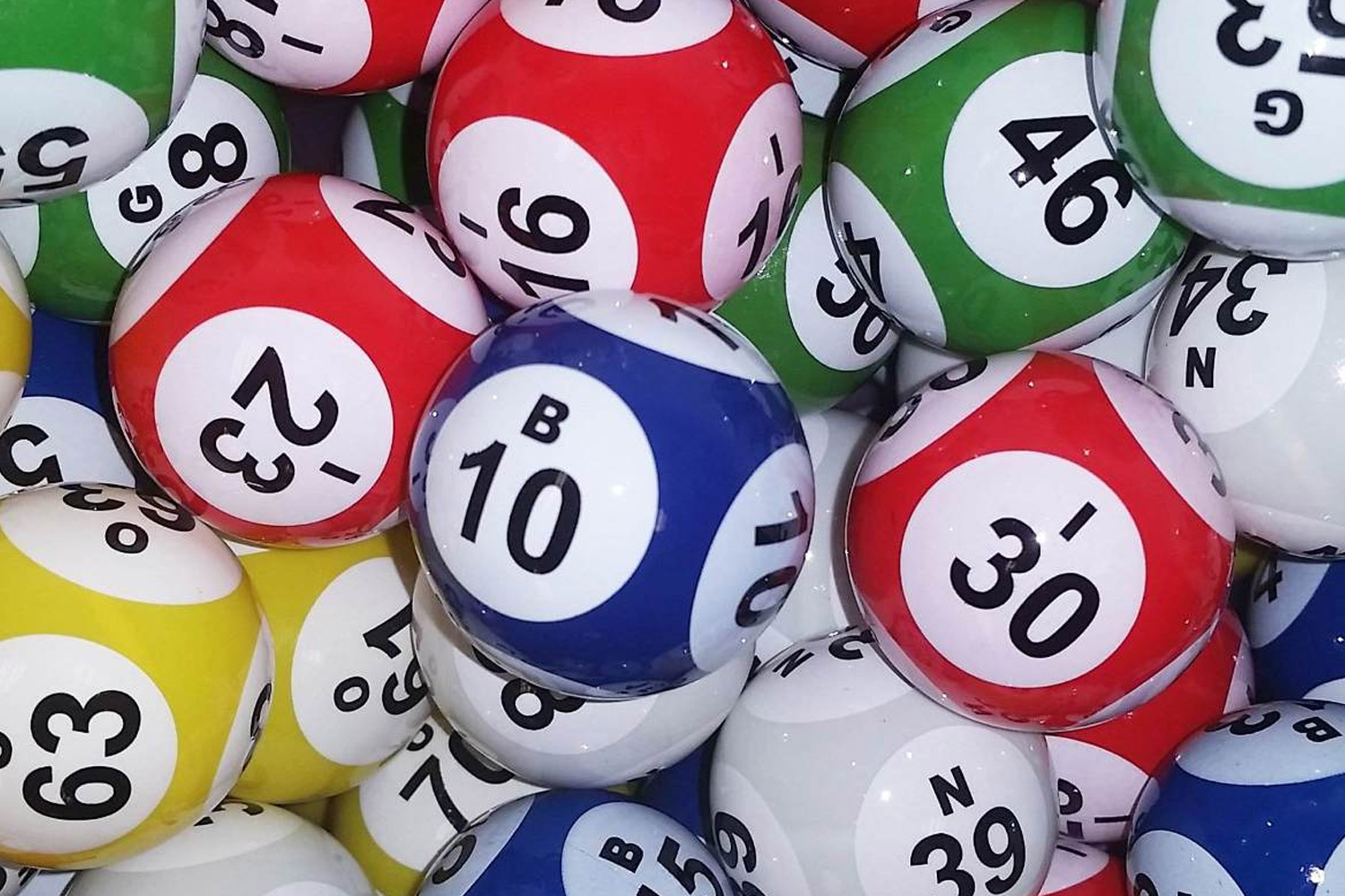 sorteador de bingo online grátis