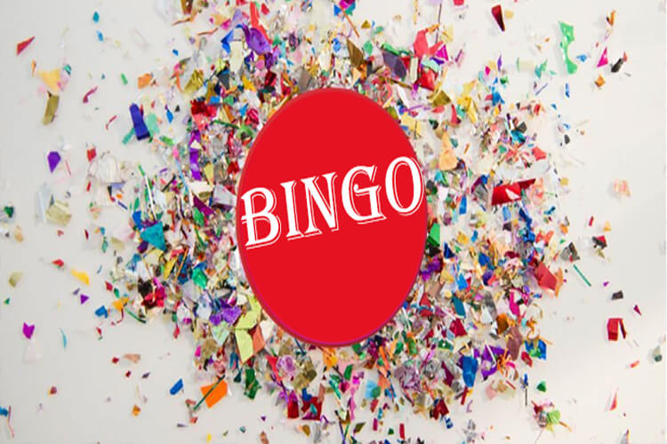Bingo-divercao_BingoGr
