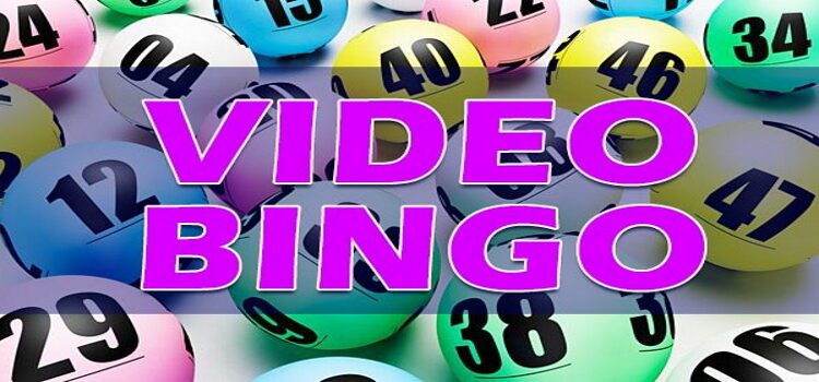 video bingo