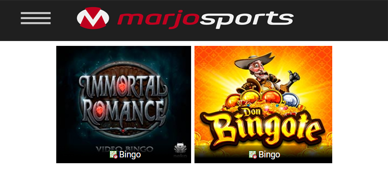 Bingo! Confira as novidades desse jogo amado no MegaJogos