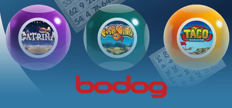 bodog-bonos-bingo
